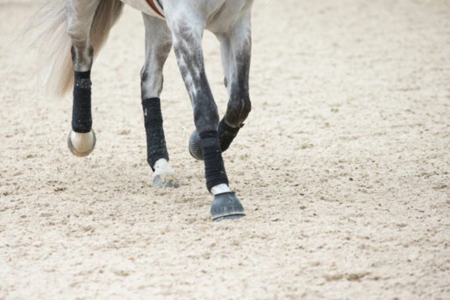 Un caballo gris al trote con botas de tendón negro