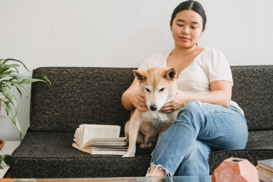 Pet-friendly dark gray fabric sofa