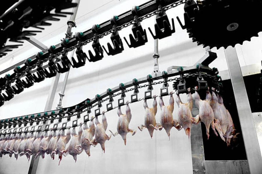 Food industry detail with poultry meat processing