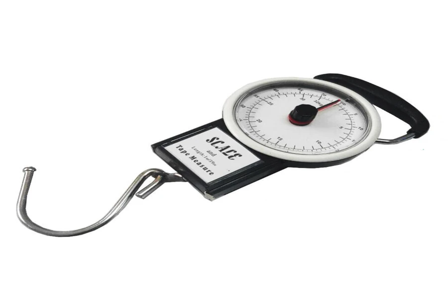 Luggage scale