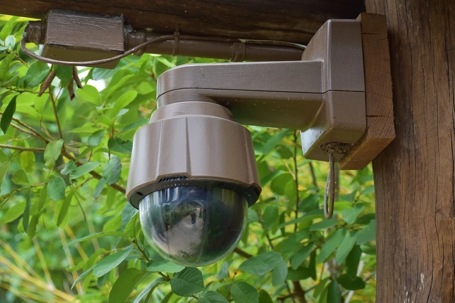 Una telecamera di sicurezza posizionata vicino agli alberi