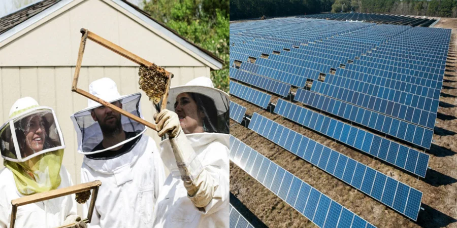 A group of beekeepers; a collection of solar panels
