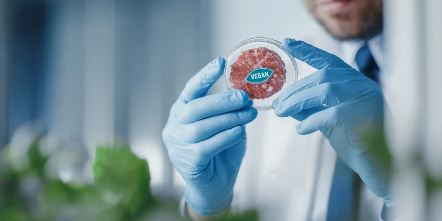Medical Scientist Working on Plant-Based Beef Substitute for Vegetarians in a Modern Food Science Laboratory.