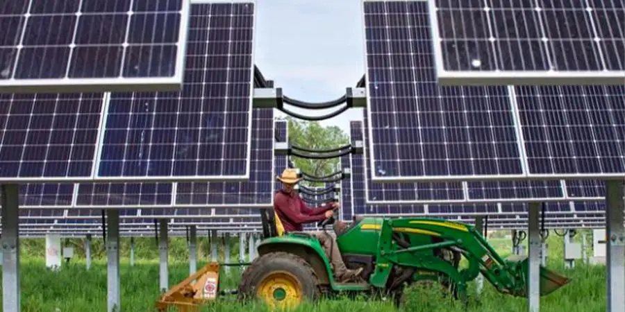 An agrivoltaic farmer working among his PV solar panels