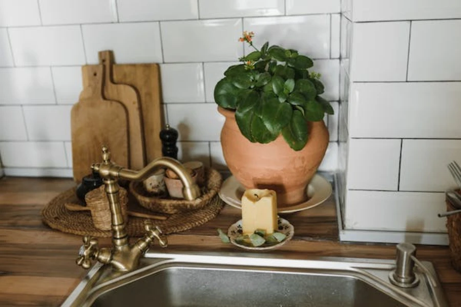 A vintage double-handled kitchen sink faucet