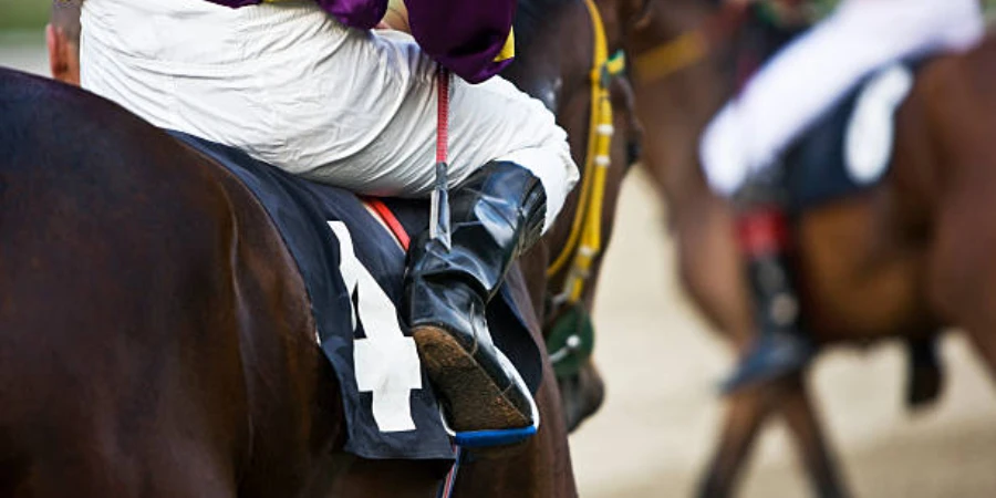 Horse and rider heading to starting line of a race