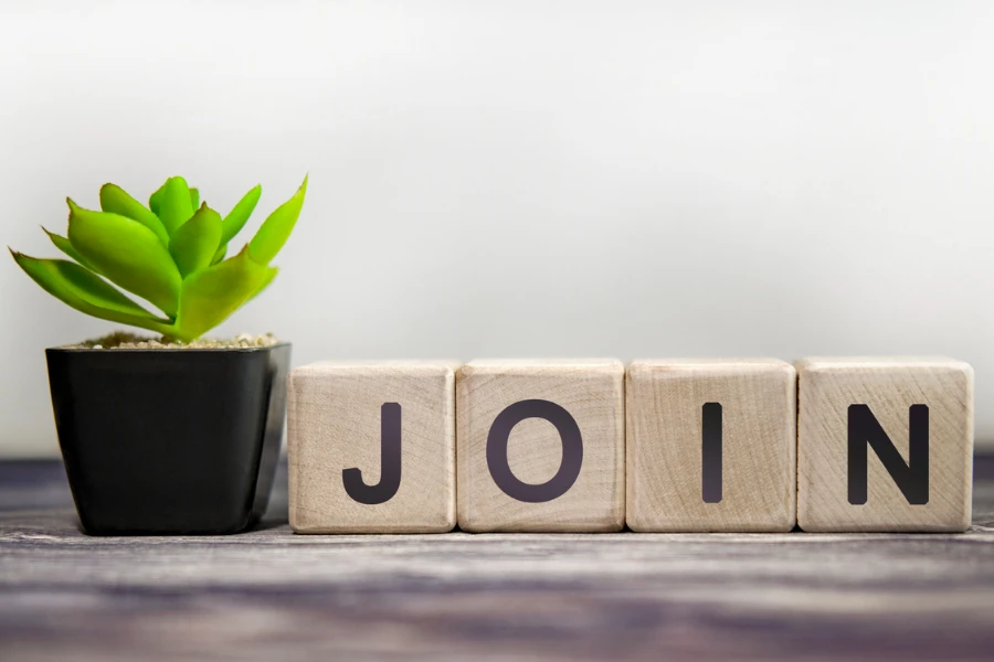 Join written on wooden cubes next to a plant