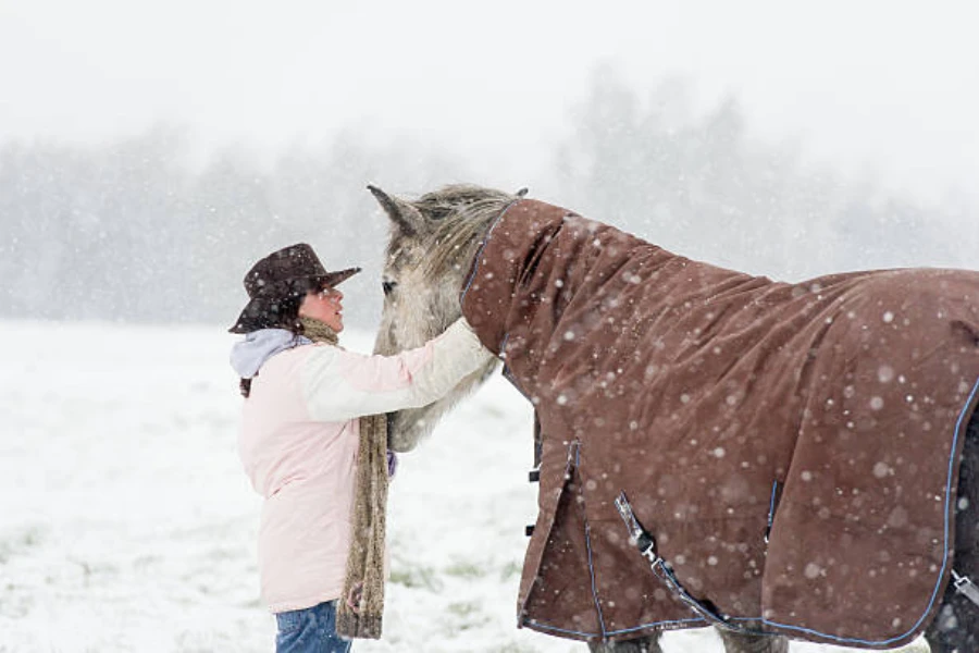 Woman putting brown winter horse rug on a horse