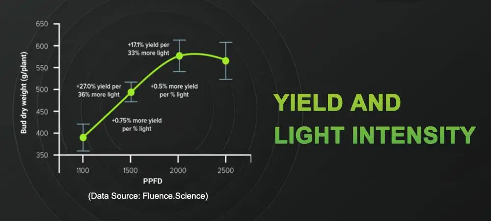 Yield and PPFD
