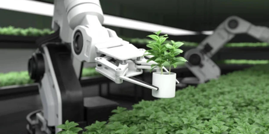 a farm robot putting seedlings in order