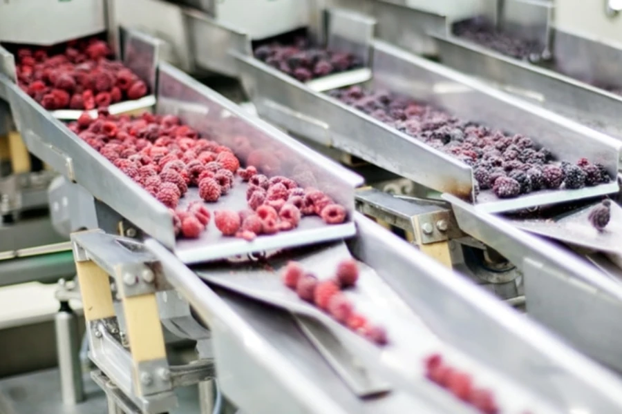 Food processing equipment sorting various berries