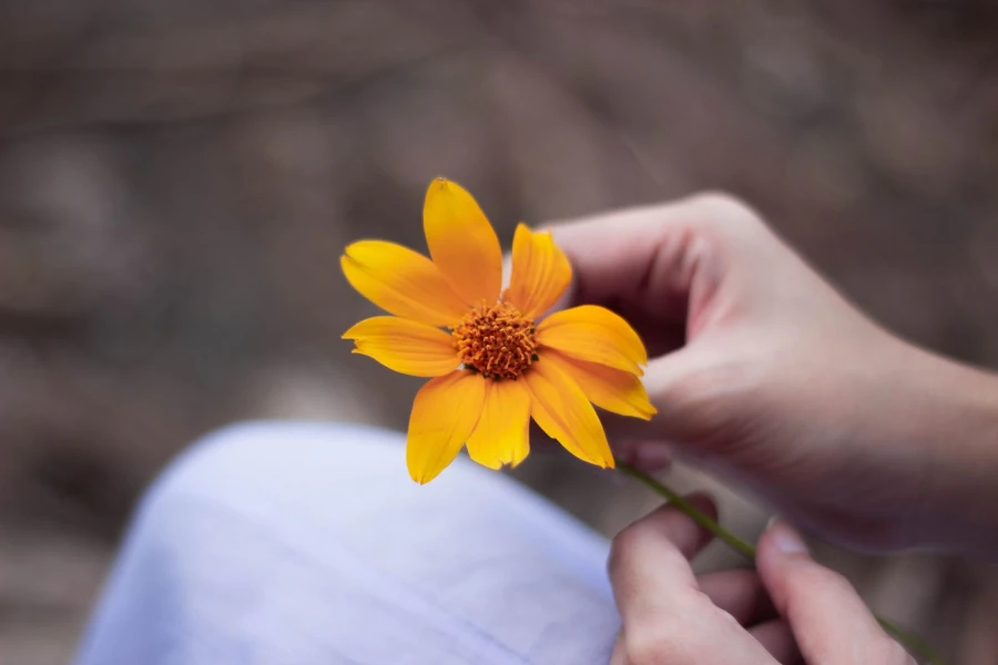 Mujer sosteniendo una flor de caléndula