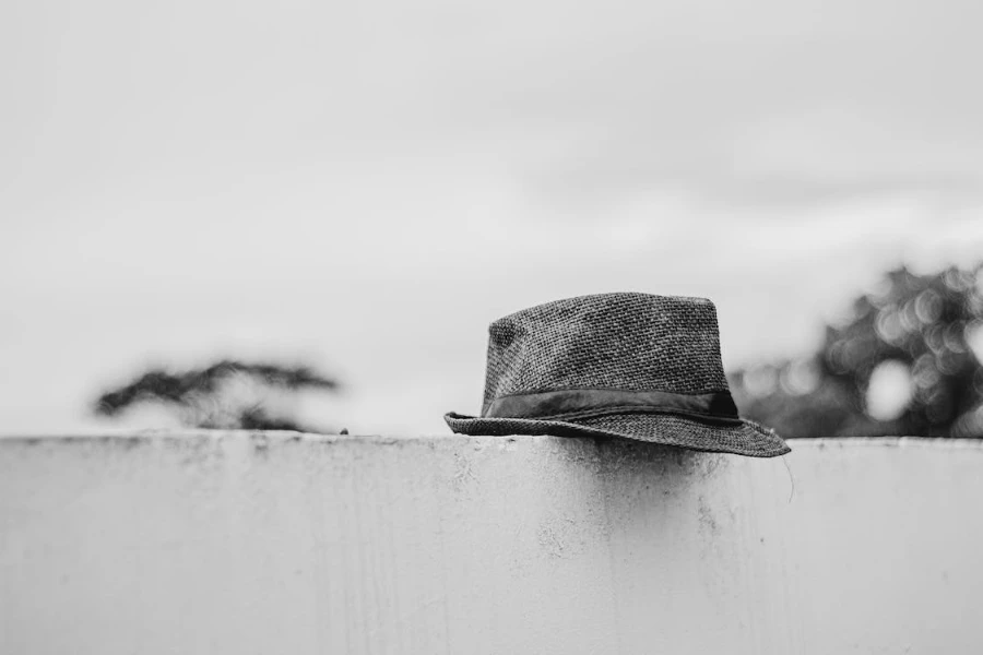 A fedora hat placed on top of a wall
