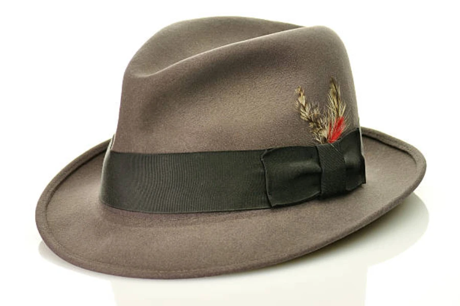 Brown fedora hat with ribbon around it in dark brown