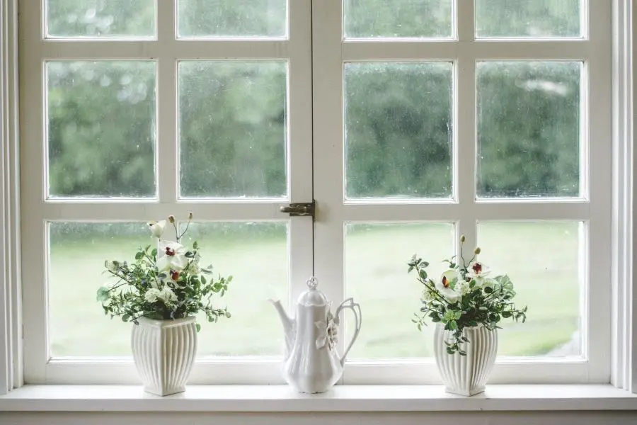 Flower pots in front of a window