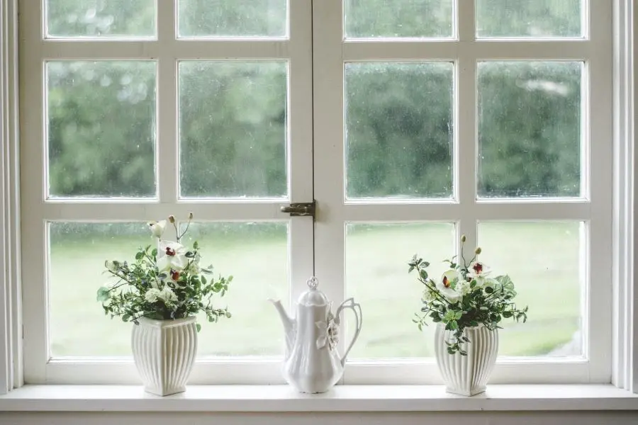 Pots de fleurs devant une fenêtre