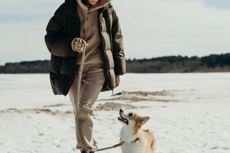 Lady rocking a brown meta jacket while walking her dog