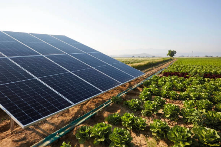 Solar energy harnessed to pump irrigation water