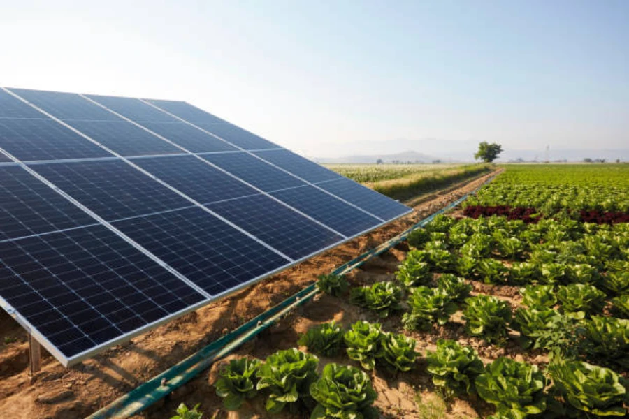 Energía solar aprovechada para bombear agua de riego