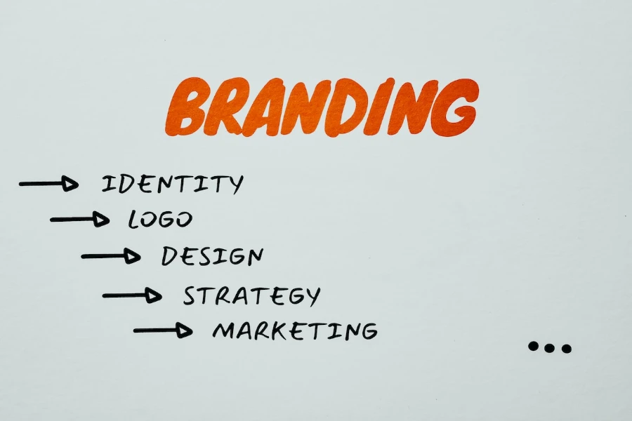 Text describing the elements of a branding strategy