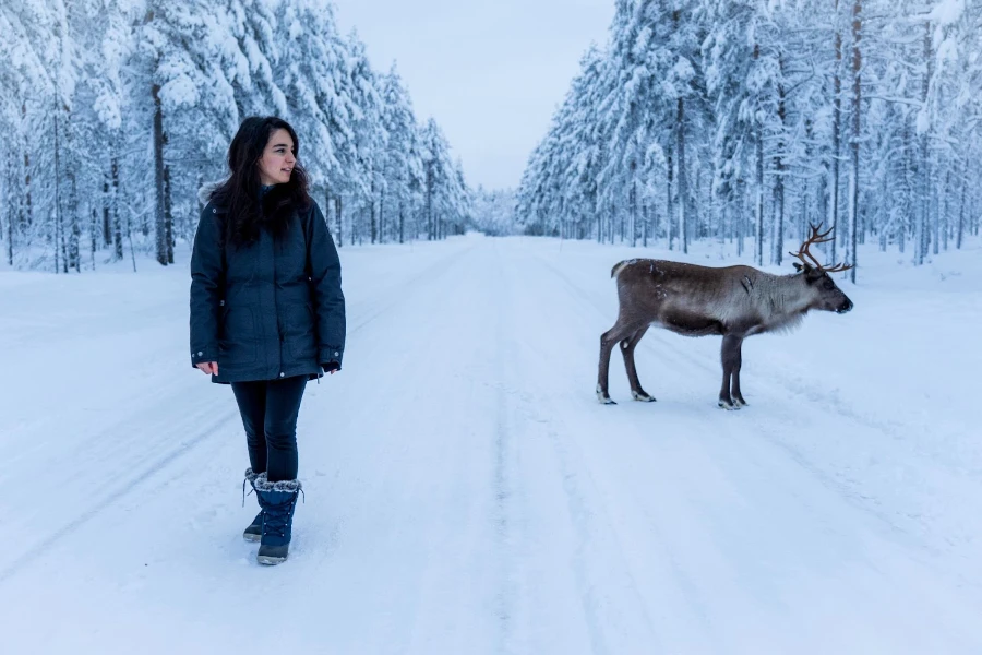 Woman in the snow standing near a moose