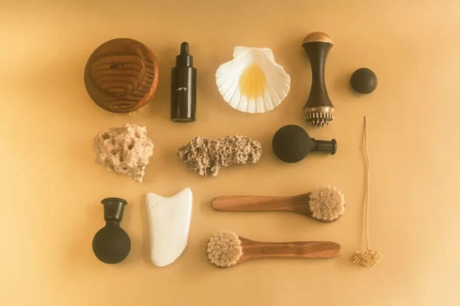 An assortment of mariona vilanova tools