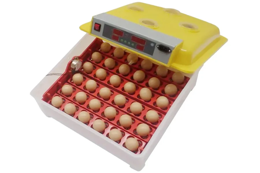 Fully automatic chicken egg incubator