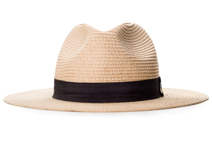 Chapeau de paille panama fond blanc