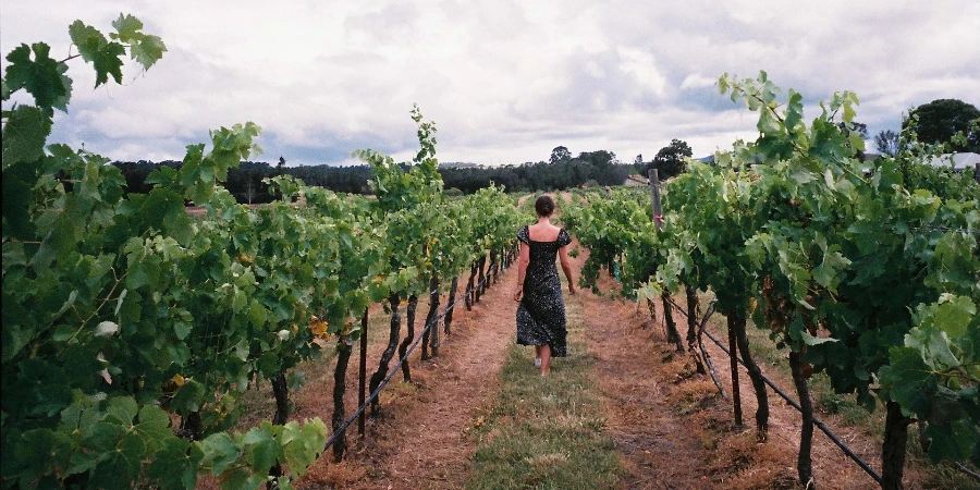 Woman at a vineyard