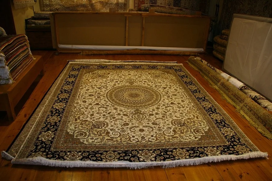 An oriental rug on the floor