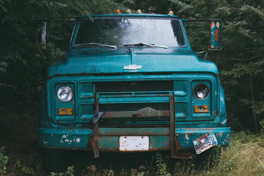 A heavy-duty truck parked in the wilderness