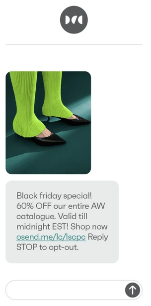 Black Friday special text message
